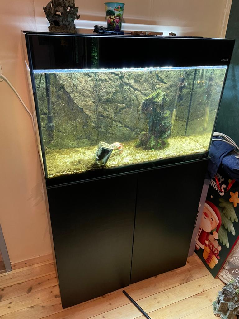Aquarium te koop wegens geen tijd voor, Ophalen of Verzenden, Gebruikt, Leeg aquarium, Aquael