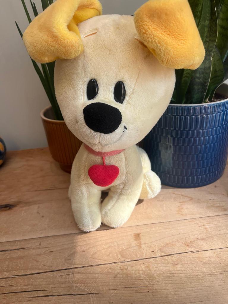 Pip, Ophalen of Verzenden, Hond