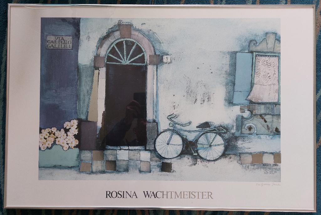 Rosina Wachtmeister: Vila Galileo Galilei, Antiek en Kunst, Ophalen