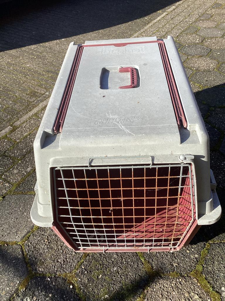 Honden / katten transportbox, Dieren en Toebehoren, Transportboxen, Ophalen of Verzenden, Gebruikt
