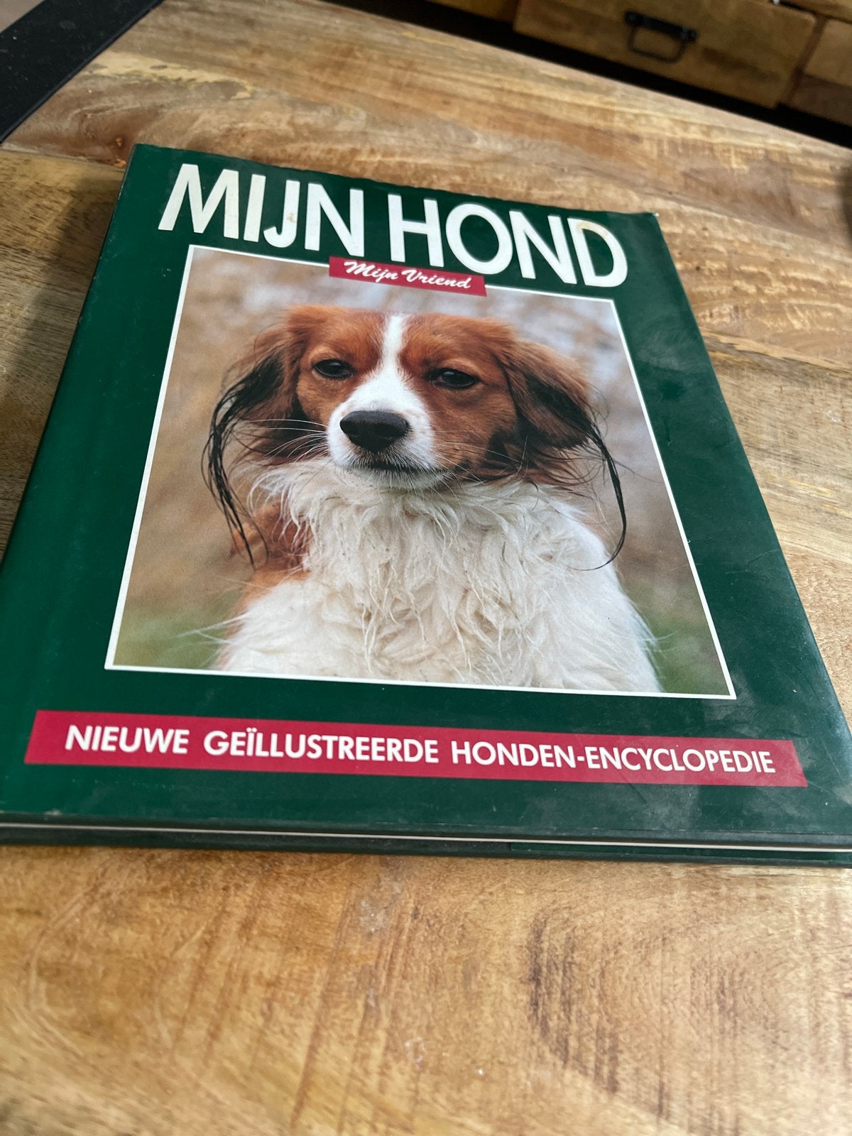 Mijn Hond: Nieuwe Geïllustreerde Honden-Encyclopedie, Ophalen of Verzenden, Gelezen, Honden
