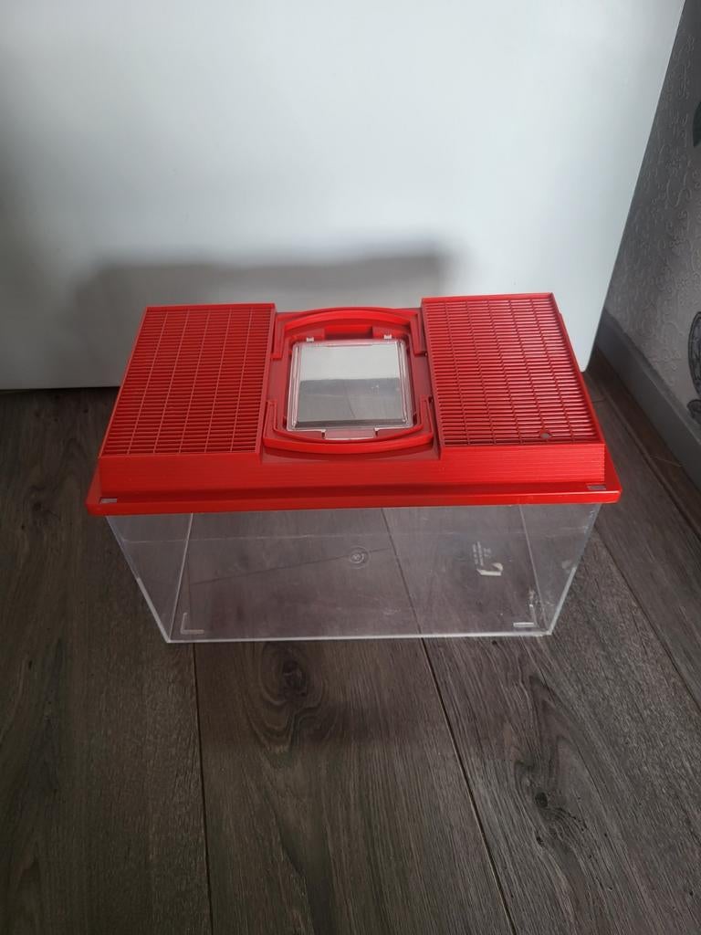 Kunststof bak vissen, insecten, reptielen- afneembare deksel, Ophalen of Verzenden, Gebruikt