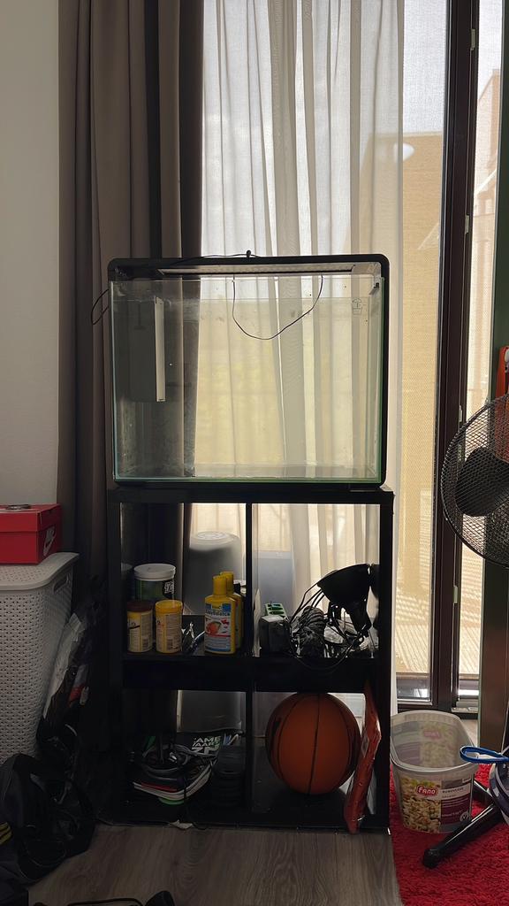 Aquarium, Huis en Inrichting, Ophalen, 50 tot 100 cm, Zo goed als nieuw, Minder dan 100 cm