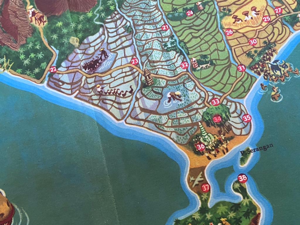 plaatjesalbum Bali in kleuren Douwe Egberts (1951), Boeken, Prentenboeken en Plaatjesalbums, Ophalen of Verzenden, Zo goed als nieuw