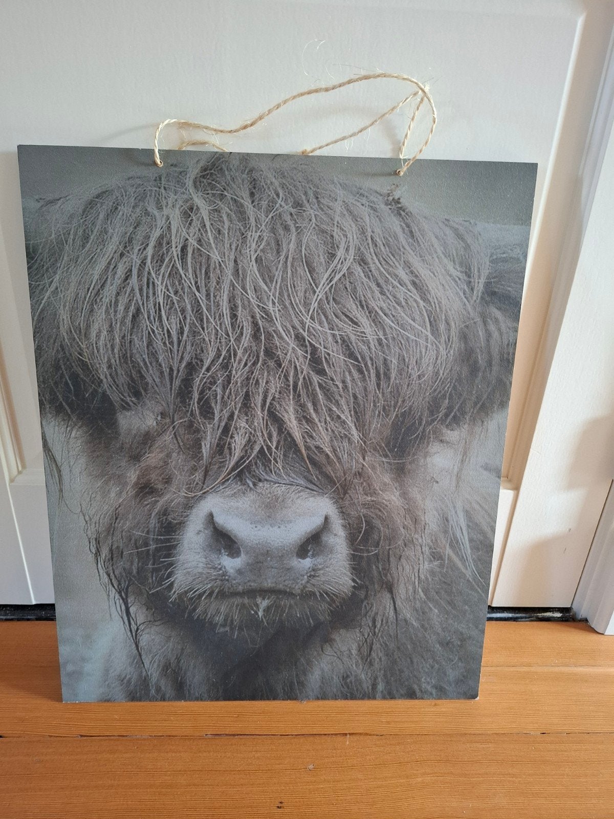Schilderij Schotse Hooglander - Dierenportret, Antiek en Kunst, Ophalen of Verzenden
