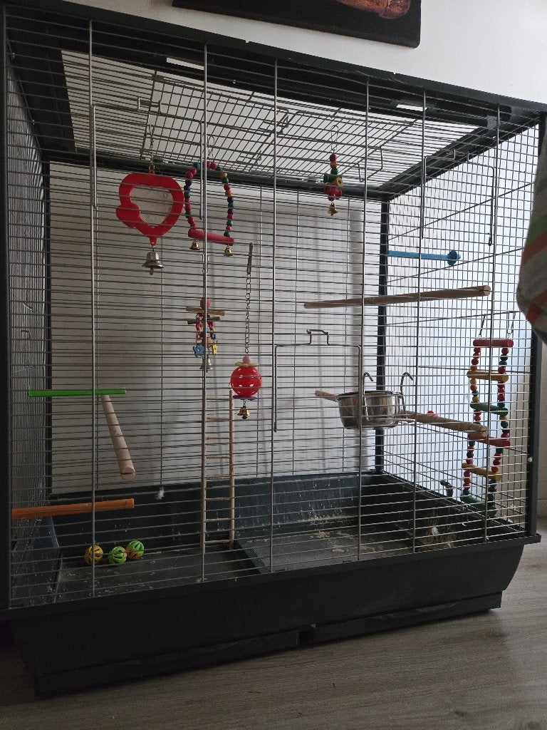 Vogelkooi, Dieren en Toebehoren, Ophalen, Zo goed als nieuw, Metaal, Vogelkooi