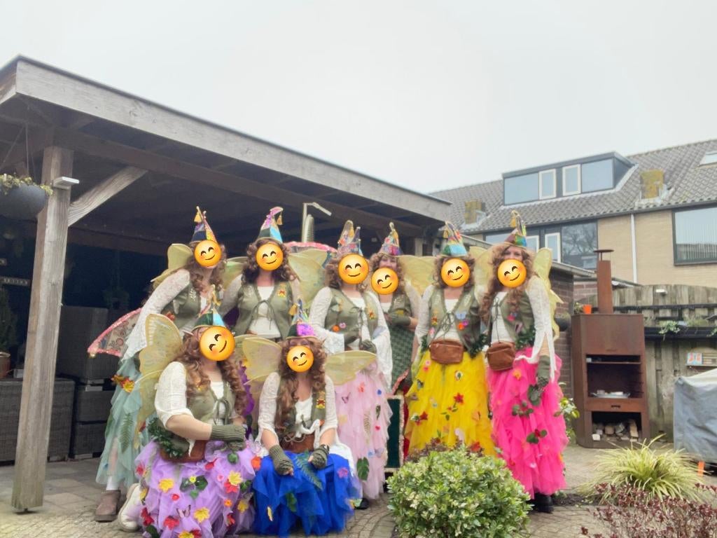 Loopgroep carnaval "Ra(a)d van elfjes", Kleding | Dames, Carnavalskleding en Feestkleding, Zo goed als nieuw, Kleding, Carnaval