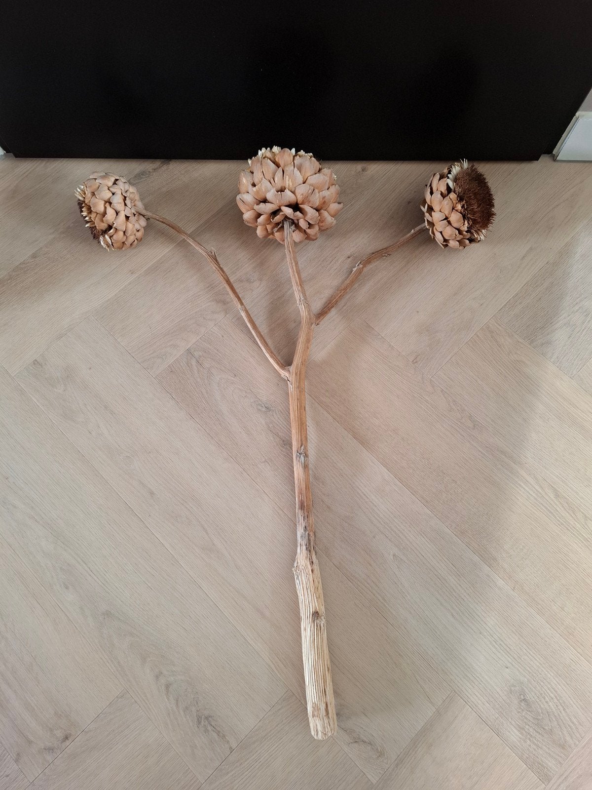 Enorme gedroogde artisjok op stam, Ophalen