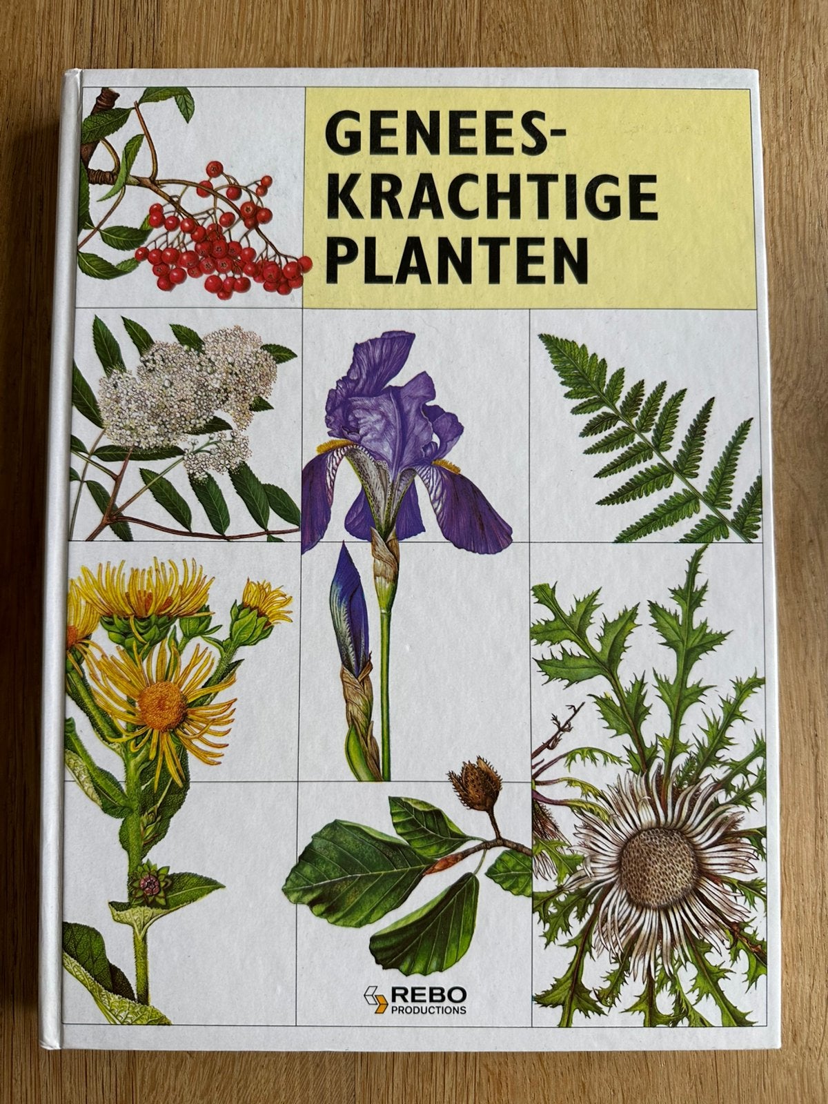 Boek ,,Geneeskrachtige Planten ‘’, Ophalen of Verzenden, Nieuw, Bloemen, Planten en Bomen