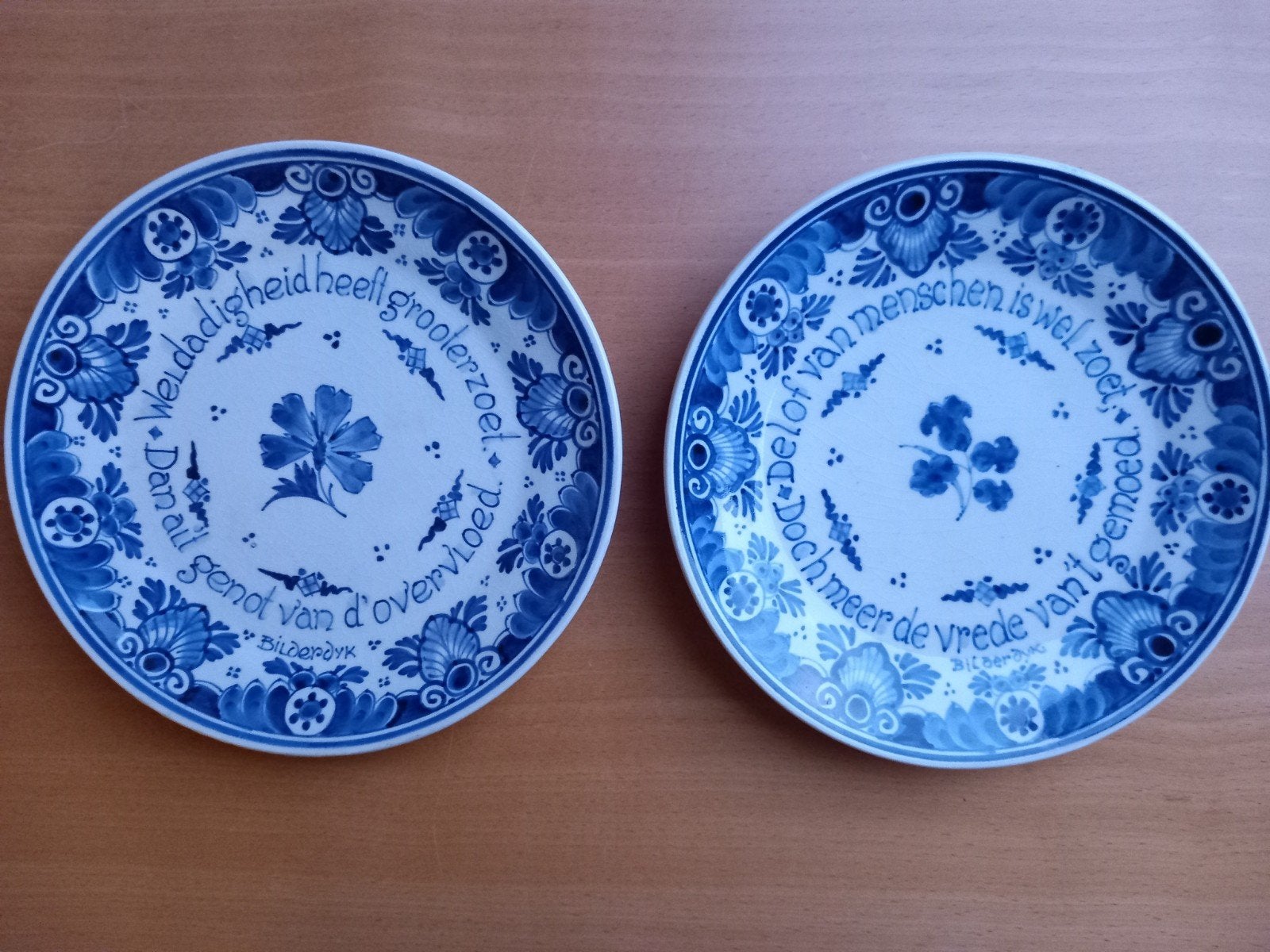 Delfts blauwe wandbordjes porceleyne fles willem bilderdijk, Ophalen of Verzenden