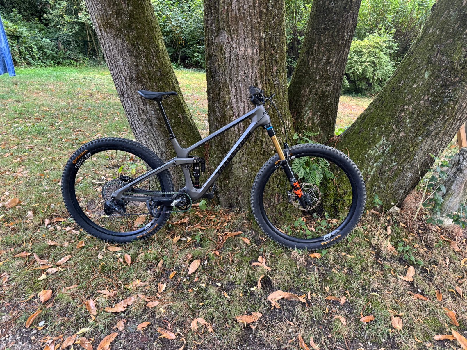 Transition Sentinel Carbon – maat L – custom topbuild, Fietsen en Brommers, Fietsen | Mountainbikes en ATB, Fully, Ophalen, Overige merken