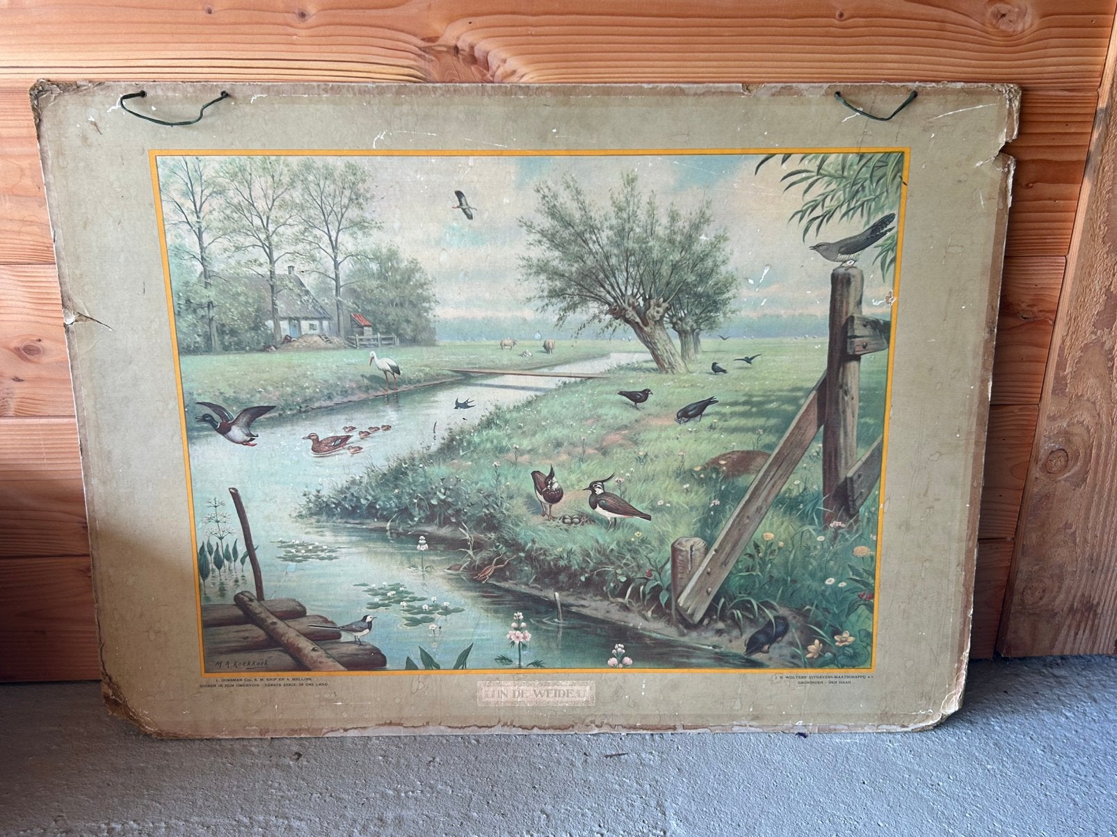 Schoolplaat “in de weide”, Ophalen, Natuur en Biologie