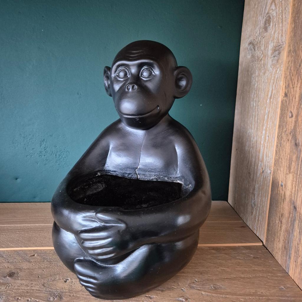 Bloempot aap 30cm hoog.
Scheur op borstkas, Ophalen of Verzenden, Zo goed als nieuw, Kunststof, Binnen