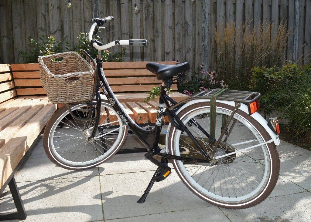 Alpina Clubb hippe fiets 24 inch, Ophalen, Terugtraprem, Alpina, Versnellingen