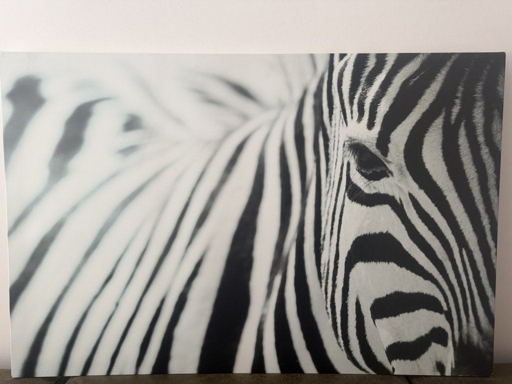 Zwart-wit zebra schilderij-Groot formaat, Ophalen, Gebruikt, Wit, Wanddecoratie