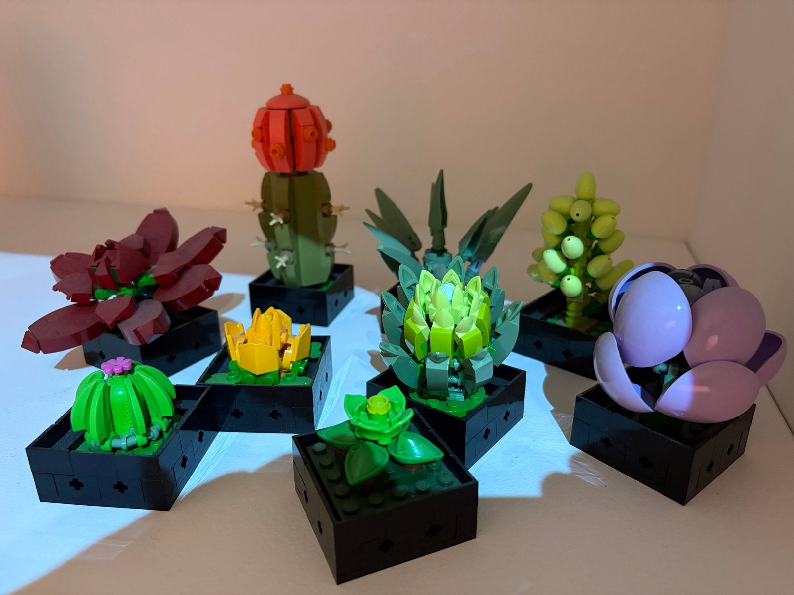 Lego 10309 Vetplanten - Zo goed als nieuw, Ophalen of Verzenden, Zo goed als nieuw