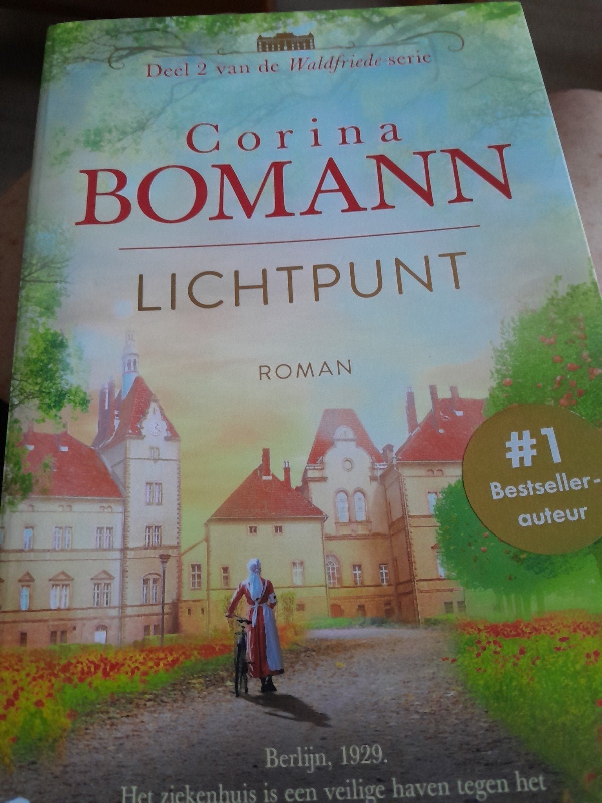 Corina Bomann - Lichtpunt (Deel 2 WaldFriede-serie), Ophalen of Verzenden, Zo goed als nieuw, Corina Bomann, Europa overig