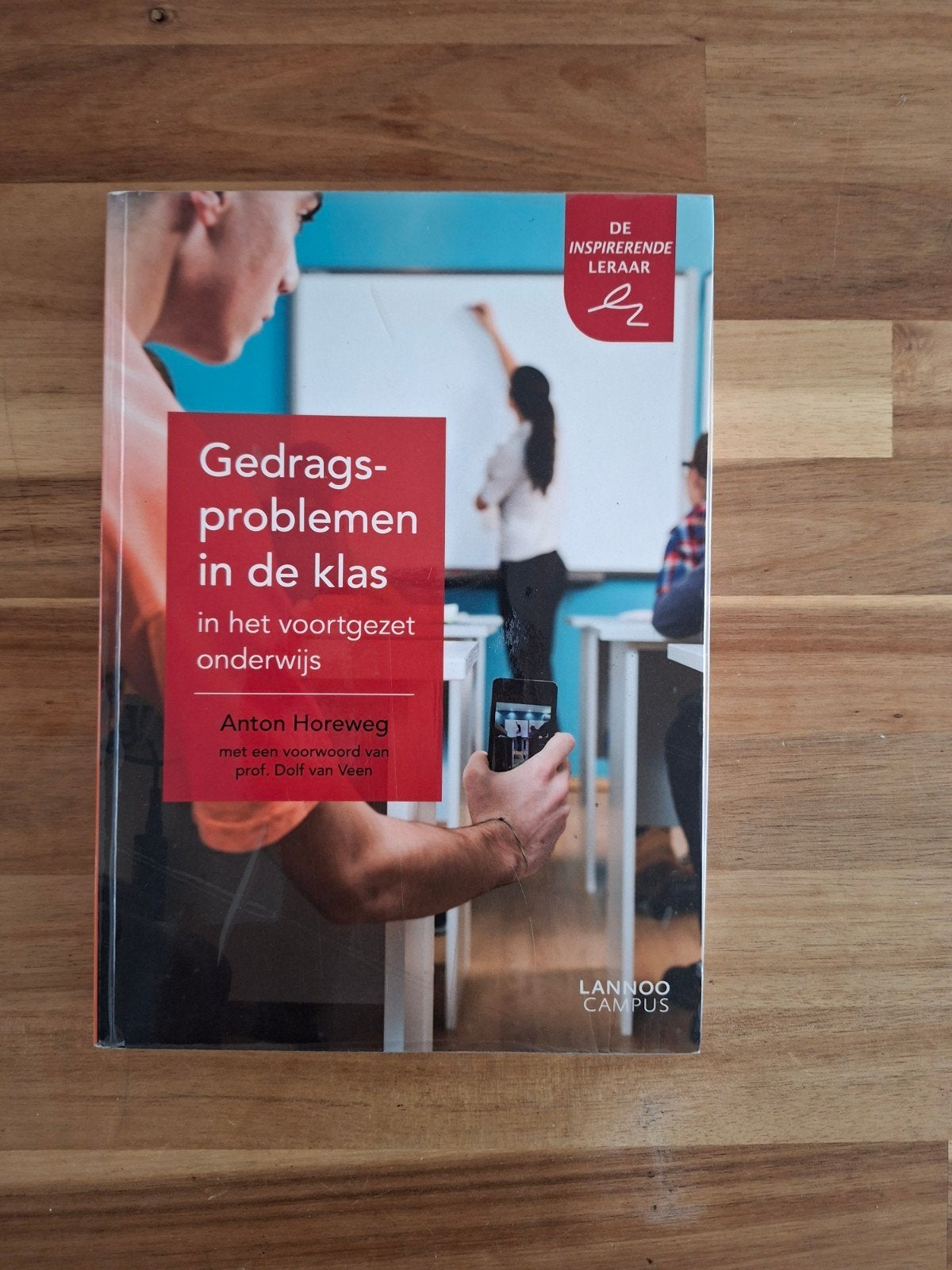 Gedragsproblemen in de klas in het voortgezet onderwijs, Ophalen of Verzenden, Anton Horeweg, Ontwikkelingspsychologie, Zo goed als nieuw