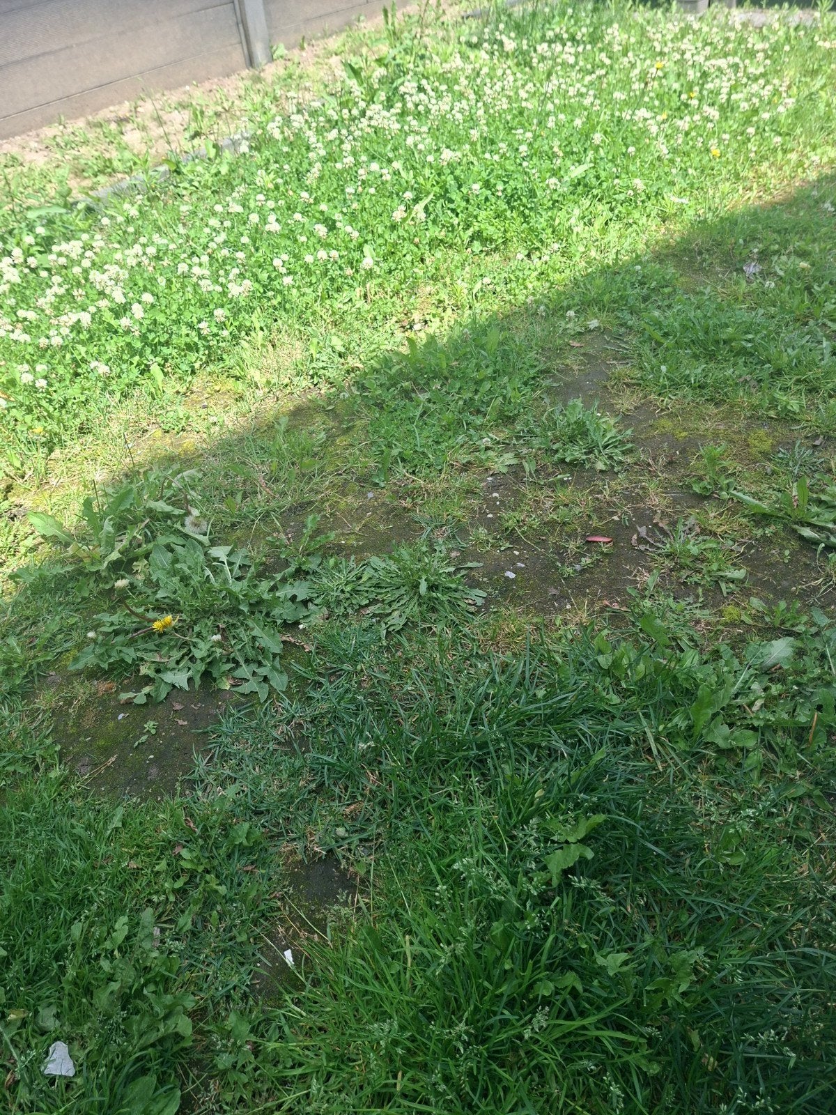 GEZOCHT: IEMAND DIE GRAS KAN LEGGEN. 38m², Tuin en Terras, Ophalen of Verzenden, 20 m² of meer