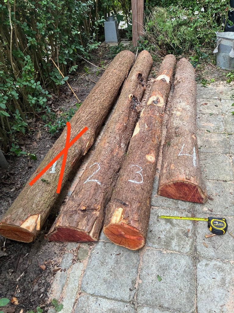 Taxus hout stammen ongeveer 170 cm lang, Doe-het-zelf en Verbouw, Hout en Planken, Ophalen, Overige typen, 50 mm of meer, Minder dan 200 cm