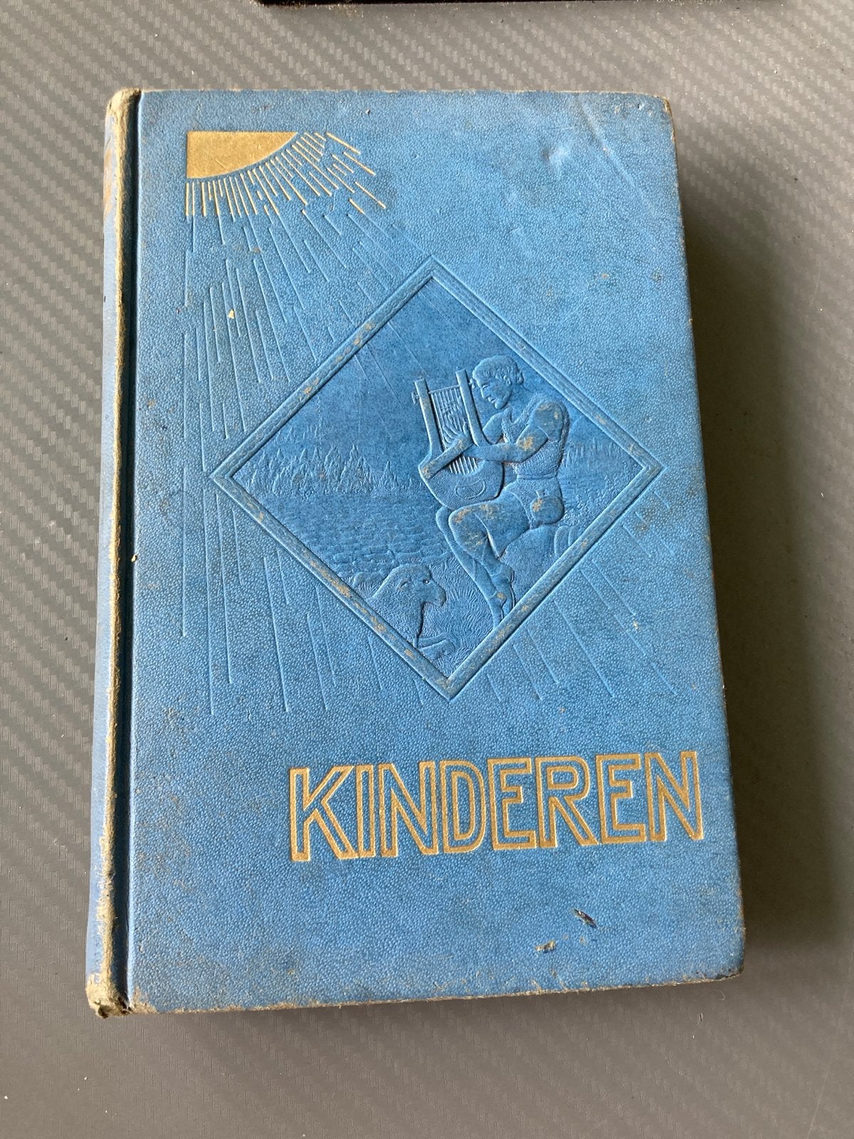 Vintage Kinderen: Hun Opvoeding en Hun Hoop Boek, Boeken, Ophalen of Verzenden, Gelezen