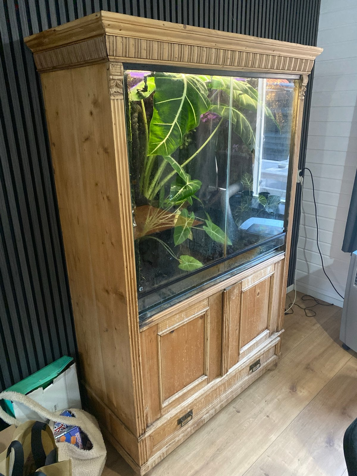 paludarium, Dieren en Toebehoren, Amfibie, 0 tot 2 jaar