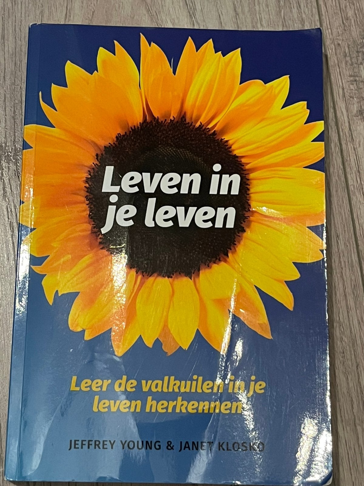 Boek leven in je leven, Ophalen of Verzenden, Zo goed als nieuw