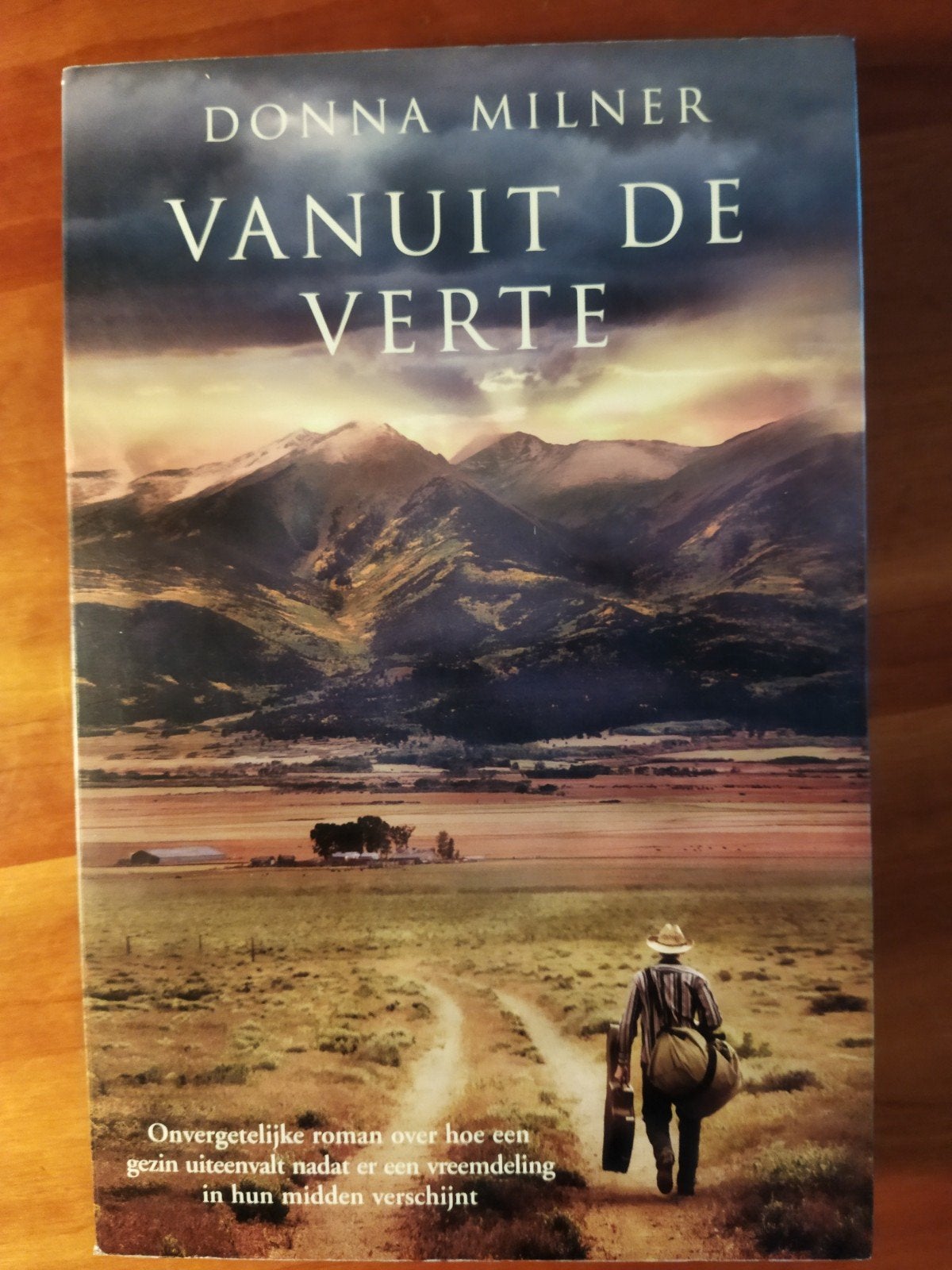 Vanuit de Verte - Donna Milner (Roman), Boeken, Ophalen of Verzenden, Gelezen, Donna Milner, Nederland