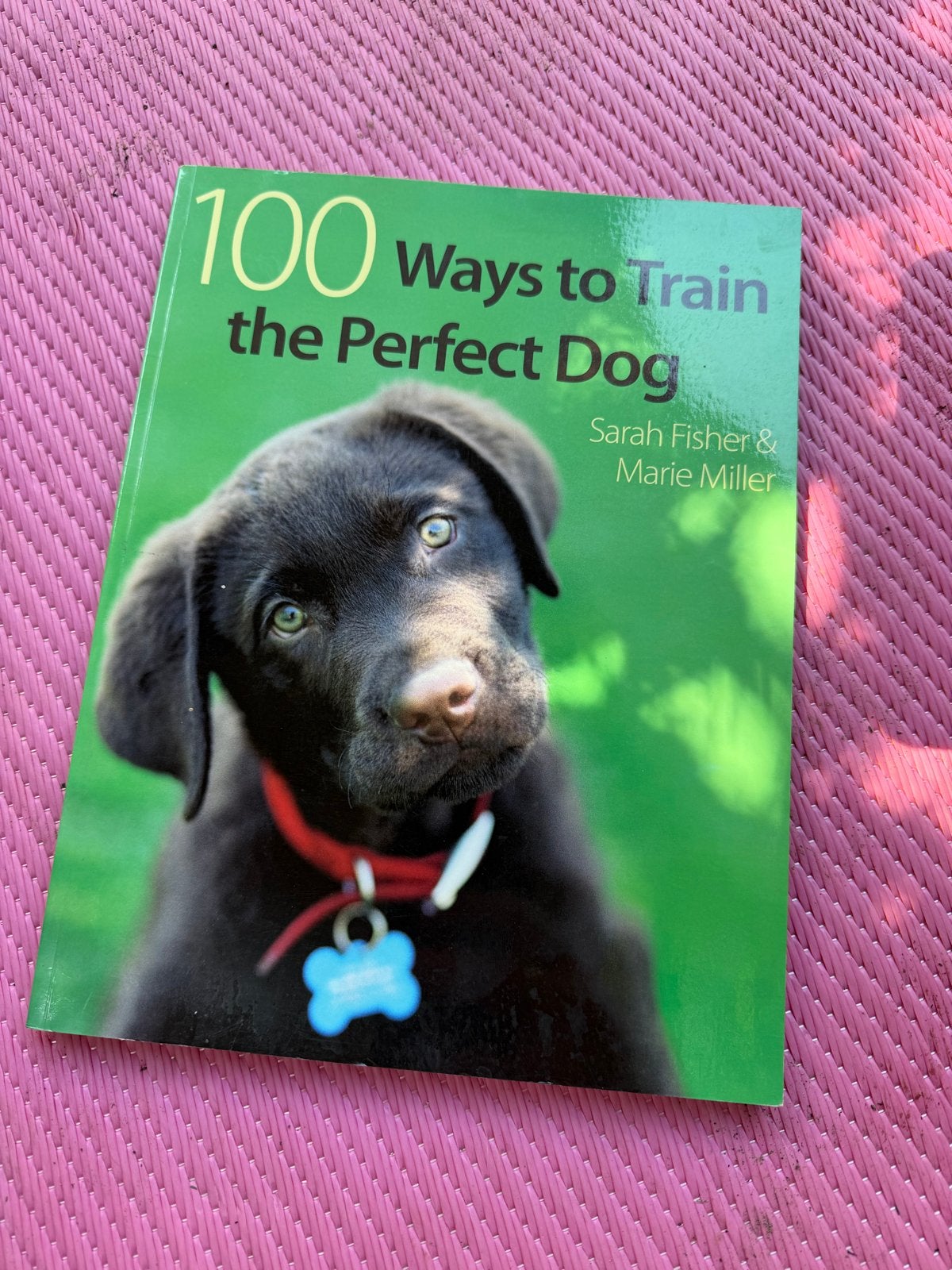 100 Ways to train the perfect dog, Boeken, Ophalen of Verzenden, Zo goed als nieuw, Honden
