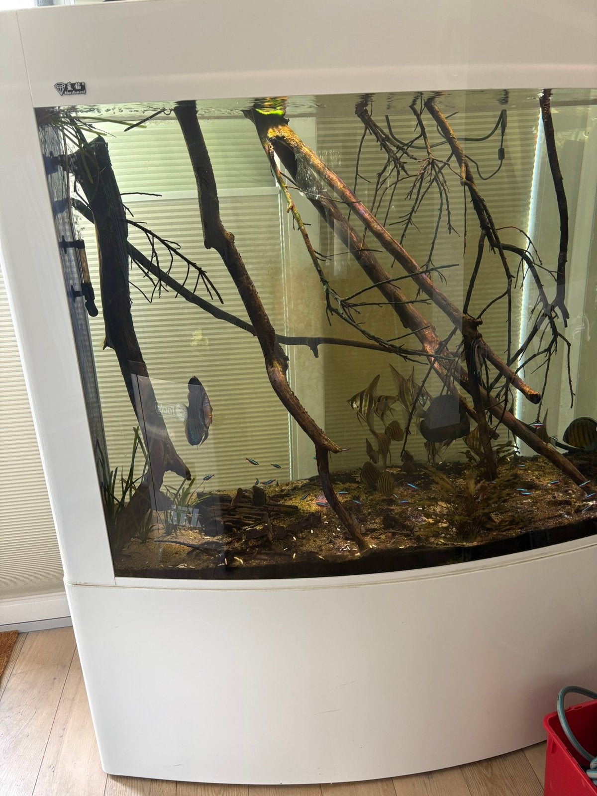 Aquarium, Ophalen, Zo goed als nieuw, Leeg aquarium