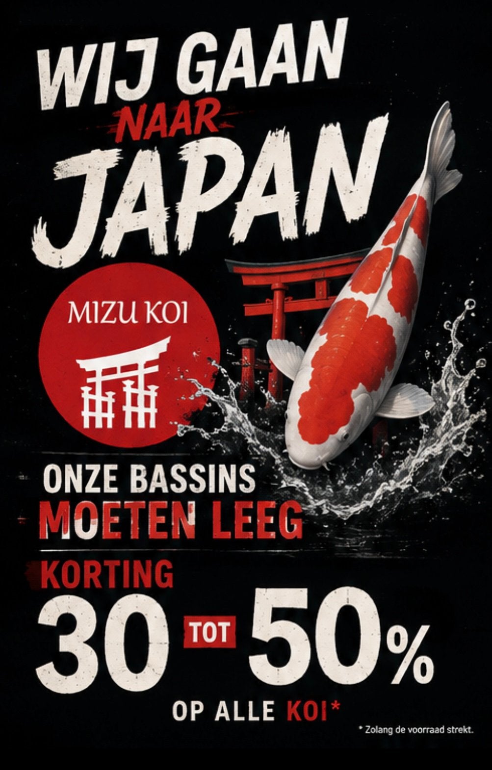 OPRUIMING TOT 50% KORTING, Karper of Koi