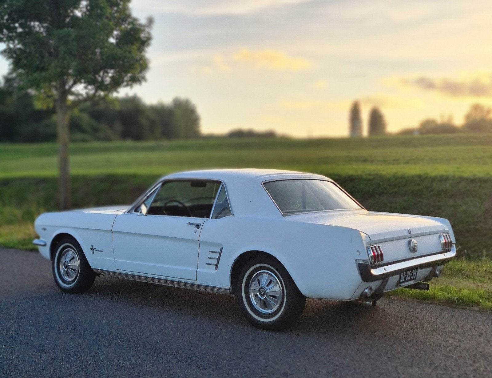 Ford Mustang 289 V8 1966 AC car Californië, Automaat, 4733 cc, Zwart, Wit