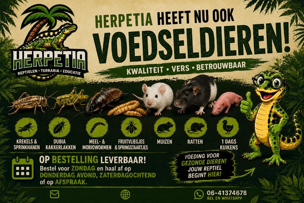Voedseldieren, Ophalen, Nieuw, Overige typen