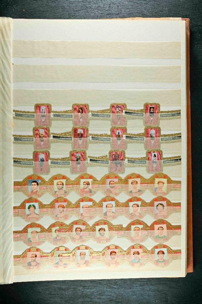 Series sigarenbandjes in 32 pag. insteekalbum 1960-1975, Ophalen of Verzenden, Zo goed als nieuw, Sigarenbandjes