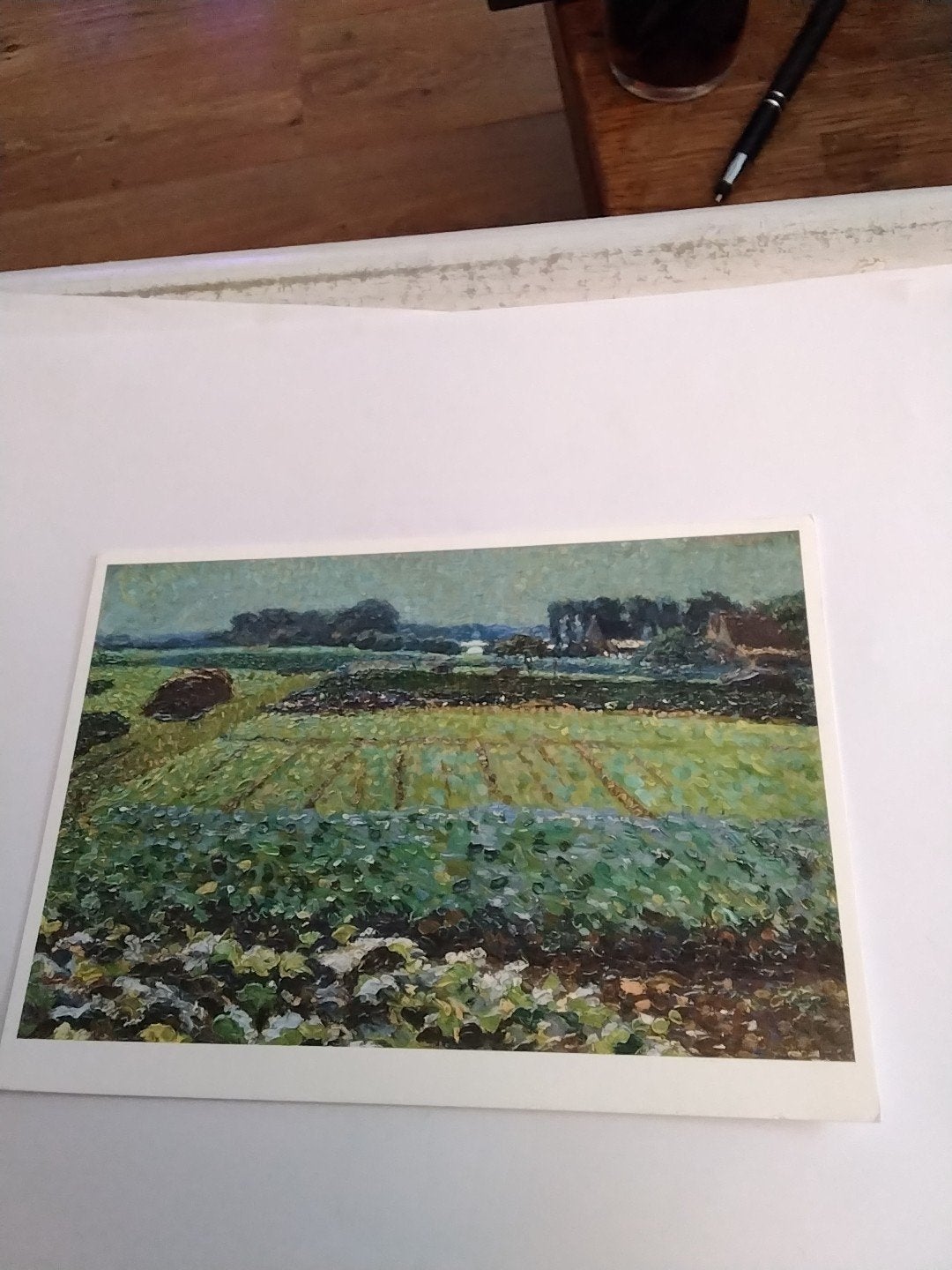 Ansichtkaart Leo Gestel - Koolveldje, Ollevert 1908, Ophalen of Verzenden