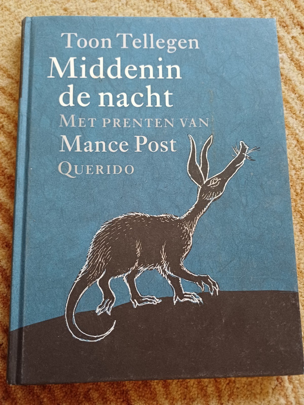 Toon Tellegen - Middenin de nacht, Ophalen of Verzenden, Zo goed als nieuw, Toon Tellegen
