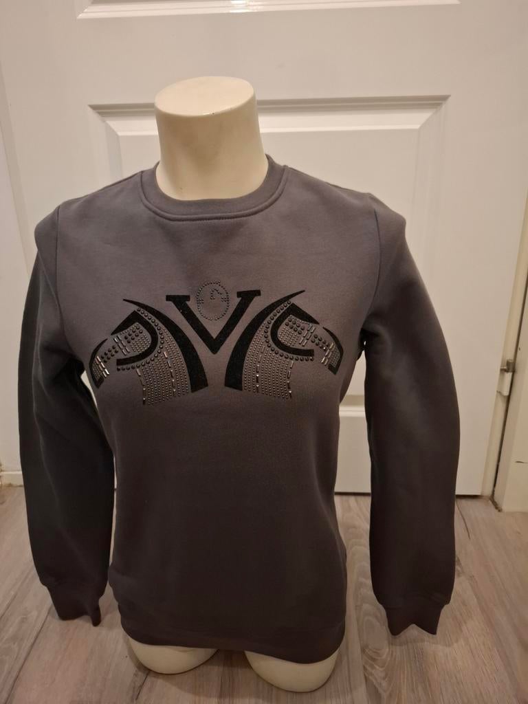 Nieuw vestrum trui s/m, Dieren en Toebehoren, Paardrijkleding, Vestrum. com, Vestrum, Ophalen of Verzenden, Vestrum. com