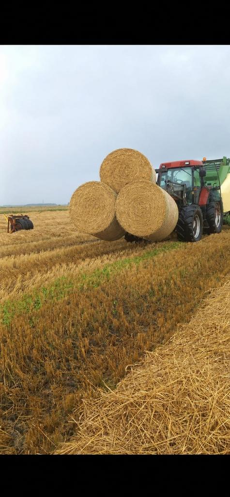 Te koop grote balen stro, Ophalen of Verzenden
