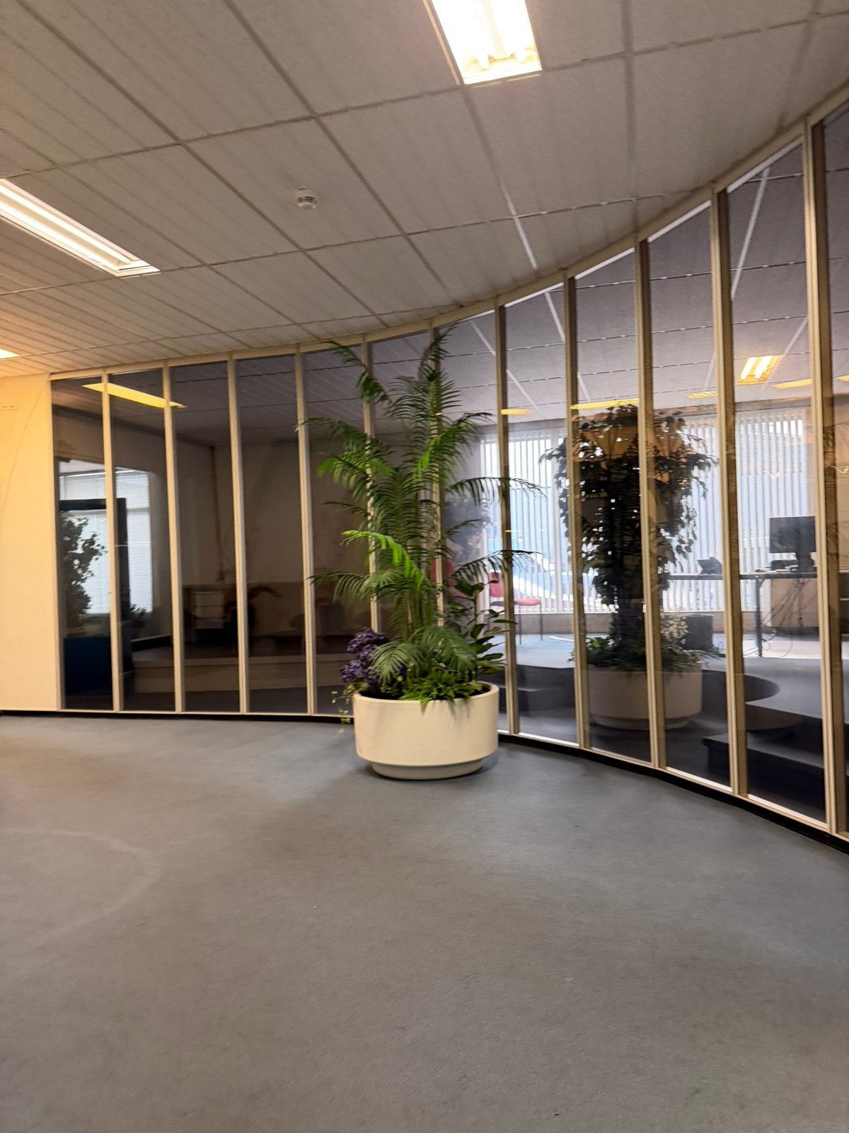 Grote partij gebruikte ramen met dubbelglas, Doe-het-zelf en Verbouw, Glas en Ramen, Ophalen, Gevelraam of Ruit, Gebruikt, Minder dan 80 cm