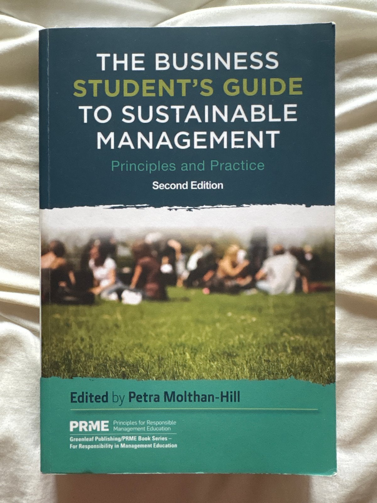The Business Student's Guide to Sustainable Management, Ophalen of Verzenden, Gamma, Zo goed als nieuw, HBO