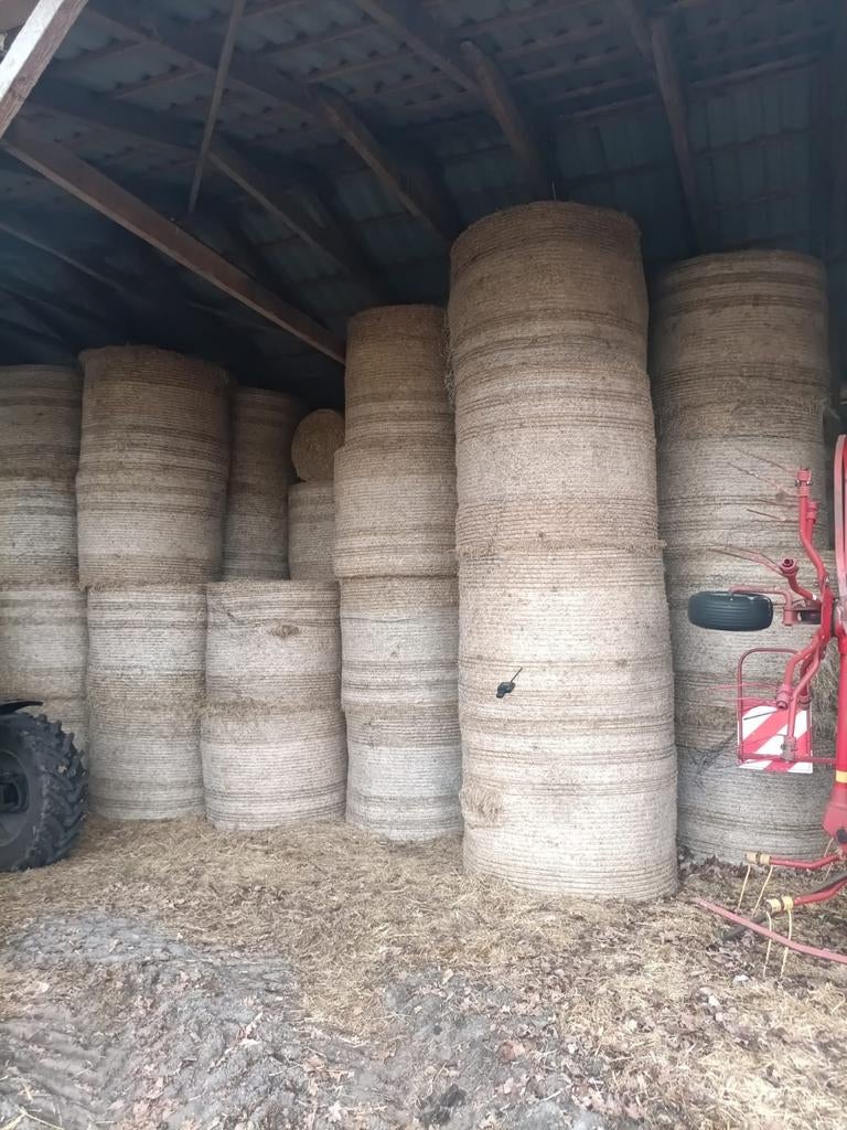 Ronde balen hooi te koop, Dieren en Toebehoren, Dierenvoeding, Ophalen of Verzenden, Vee