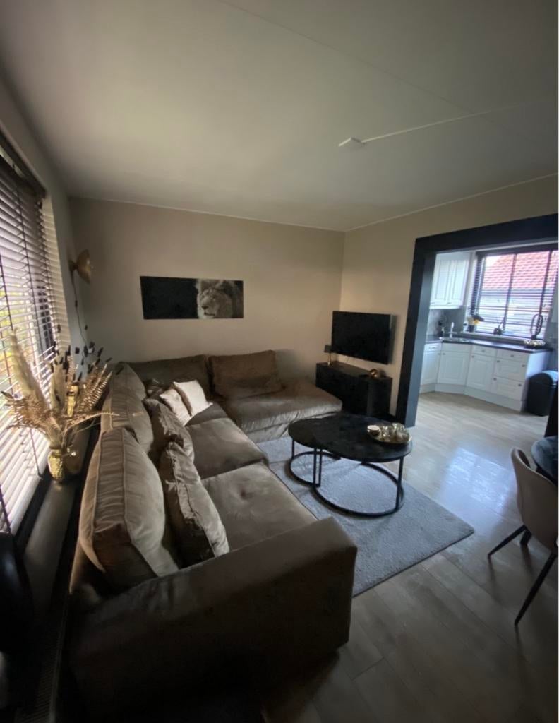 Kamer (zolder) te huur, Leiden