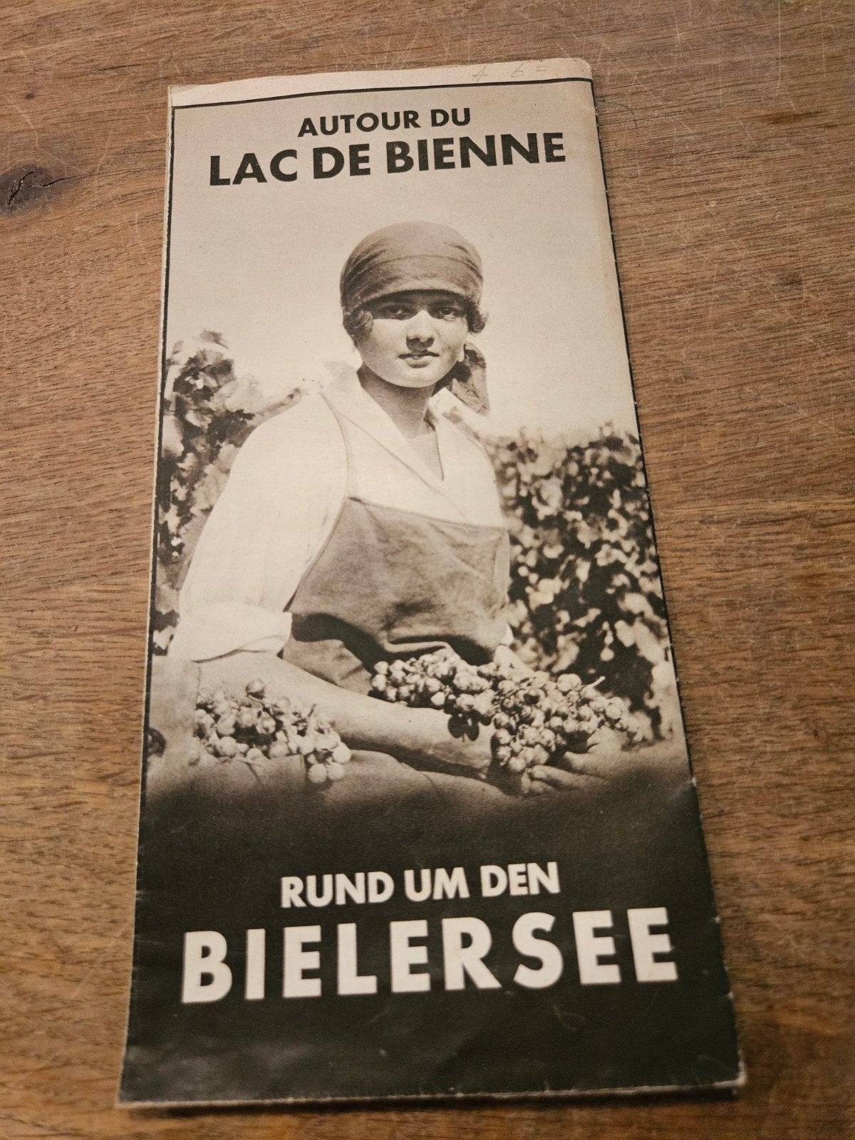 Bielersee / Lac de Bienne oude folder, Ophalen of Verzenden, Gelezen, Onbekend