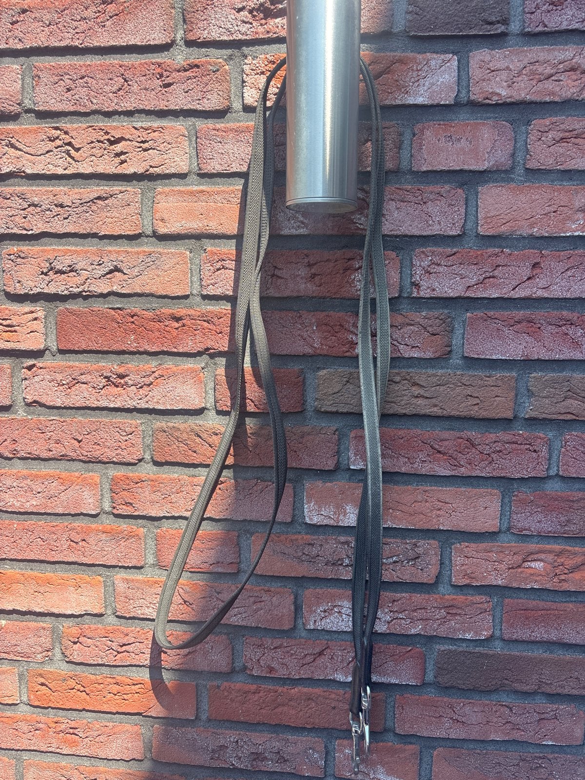 Anti-slip teugels, Ophalen, Antislip, Teugels, Zwart