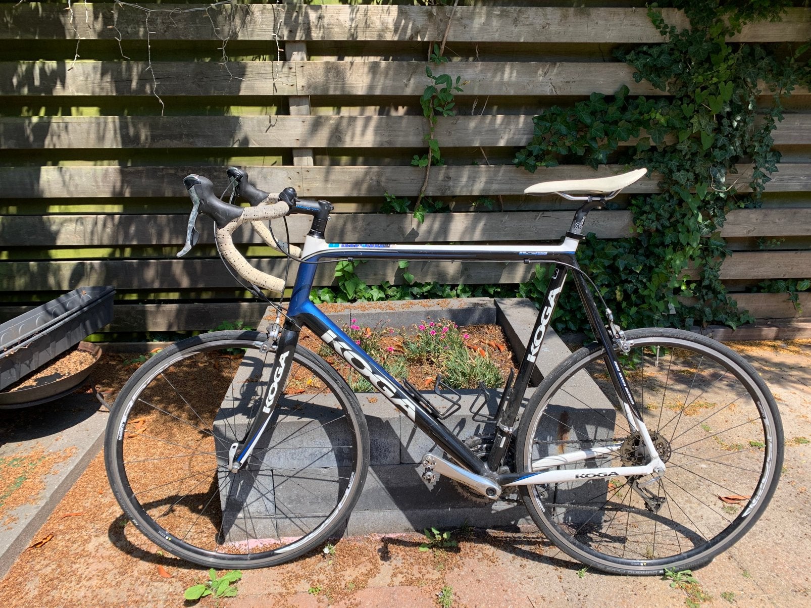 Racefiets Koga Miyata, Ophalen, Gebruikt, Koga Miyata, Meer dan 20 versnellingen