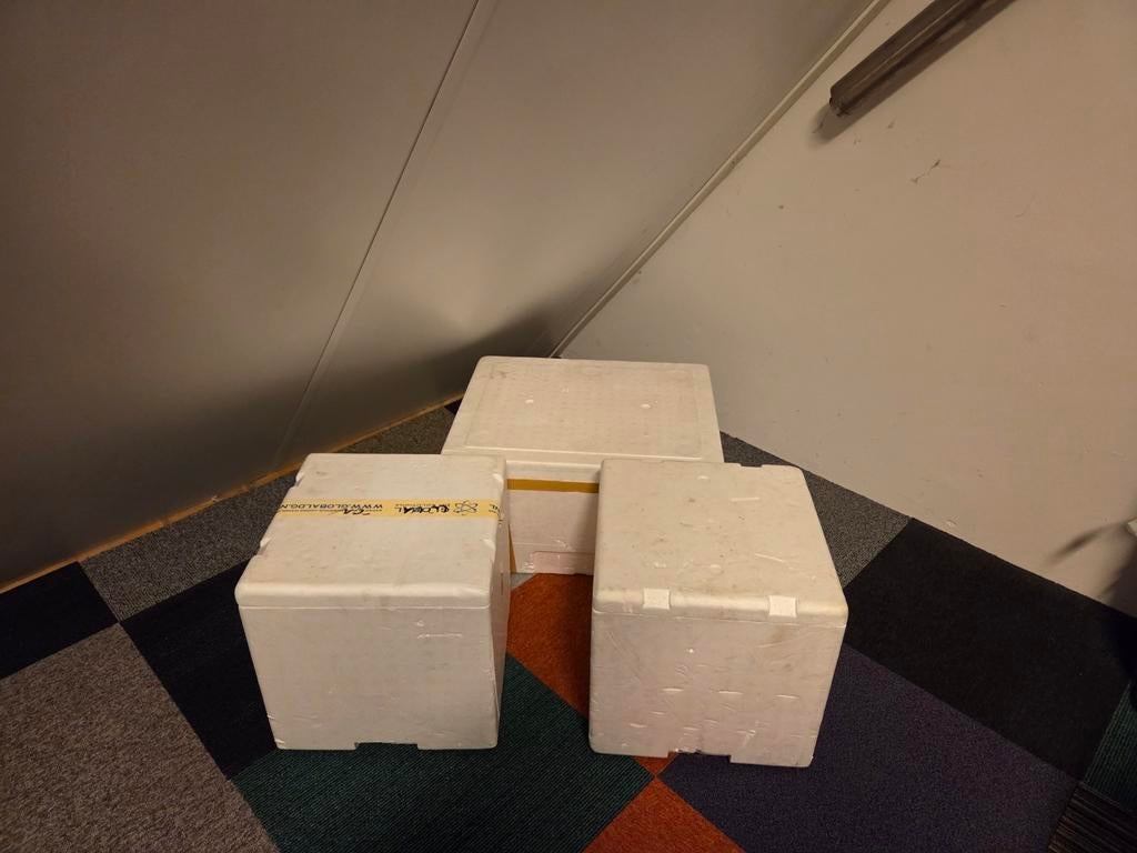 3x Tempex Bakken - Isolatieboxen, Doe-het-zelf en Verbouw, Kratten en Dozen, Gebruikt, Bak of Kist, Minder dan 50 cm, Minder dan 35 cm