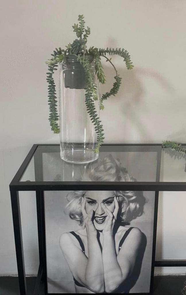 Mooie Glazen vaas met bio kamerplanten ezelstaartjes, Overige materialen, Overige kleuren, Ophalen of Verzenden, Zo goed als nieuw