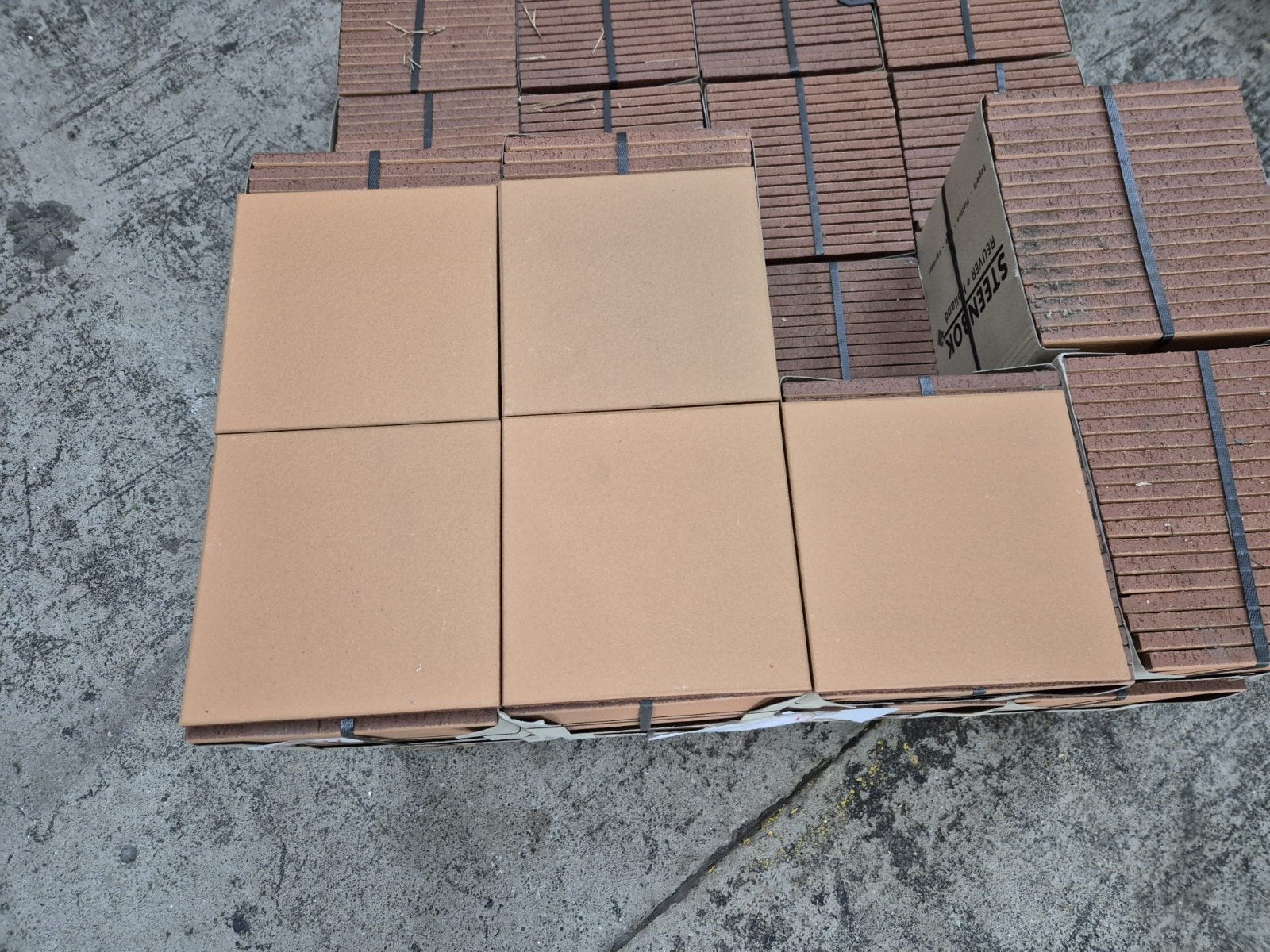Steenbok Plavuizen nr 460 - 20x20cm - €35/m², Doe-het-zelf en Verbouw, Ophalen, Nieuw