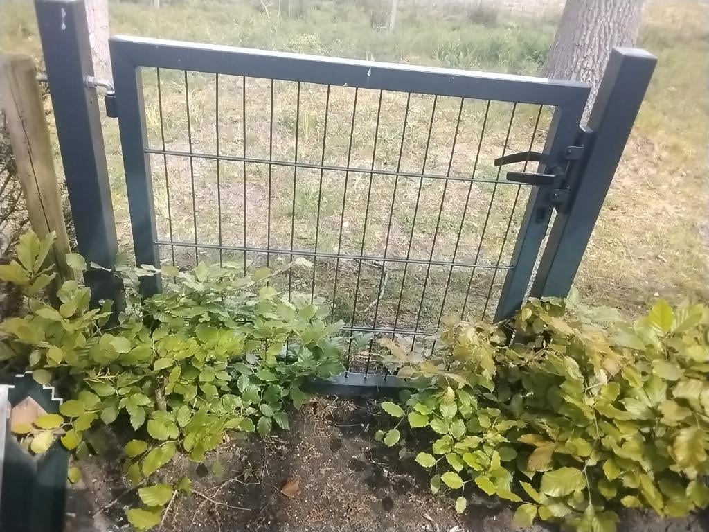 Tuinhek 2x vida xl 2D hek poort donkergroen met slot, Tuin en Terras, Tuinhekken en Hekwerk, Ophalen, Met poort, Zo goed als nieuw