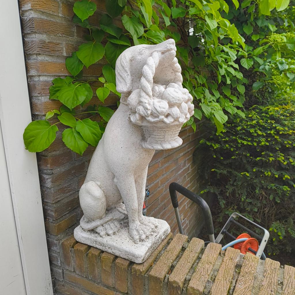 Betonnen tuinbeelden Engelse hond met fruitmand, Ophalen of Verzenden